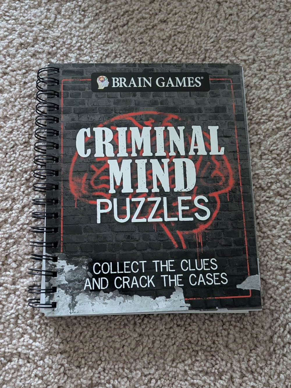 Criminal Mind Puzzles Book